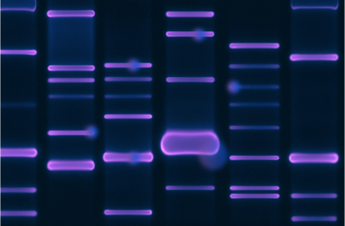 PD Functional Genomics