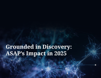 2025: A Year in Review