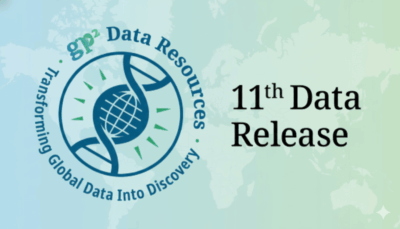 The Components of GP2’s 11th Data Release