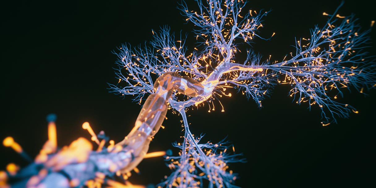 Cedars-Sinai Adds Stem Cell Skill to Key Parkinson’s Disease Study