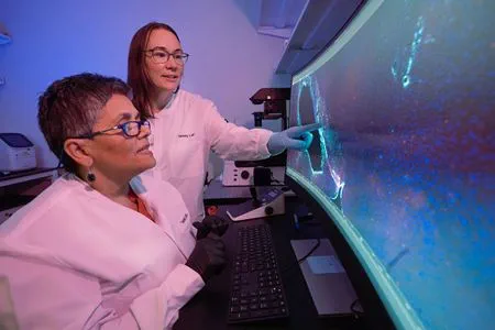 IU-led multi-university project to study the effect of immune cell aging on risk for Parkinson’s