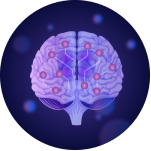 Circuit Biology